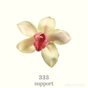 Meet your Posher, Summer